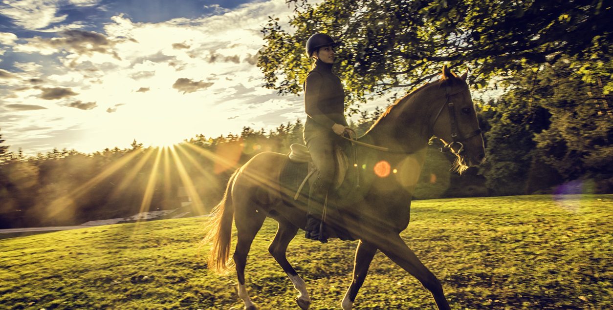 An image of a young woman riding a horse in nature