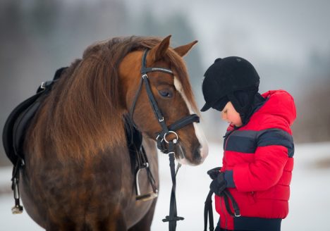 An image of a boy with a horse