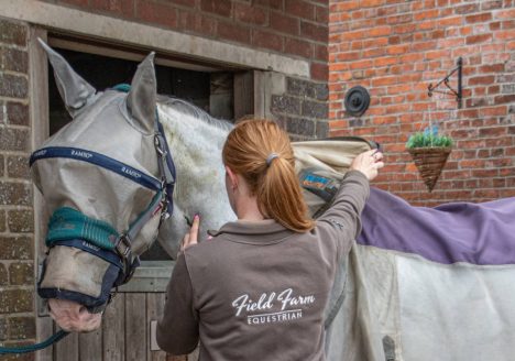 A photo of a girl who is taking off horse rug